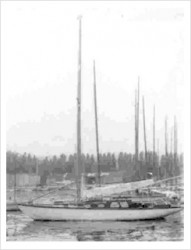 historia2_wagabunda.jpg