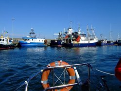 Simrishamn.JPG