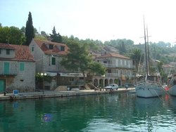 DSC03774.JPG
