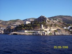 pic 144.jpg