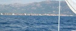 IMG_3081-crop.JPG