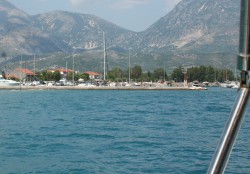 IMG_3088-crop.JPG