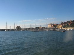 20060306_0346.JPG