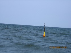 IMG_1147.jpg