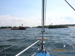IMG_1145.jpg