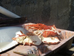 120112038.jpg