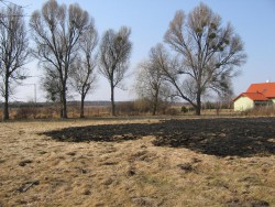 Obraz 009 mały.JPG