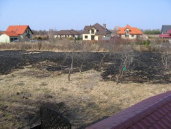 Obraz 002 mały.JPG