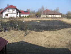 Obraz 010 mały.JPG