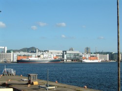 DSCF0097.jpg