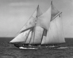 By-The-Wind-1922.gif