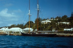 Bluenose1.jpg