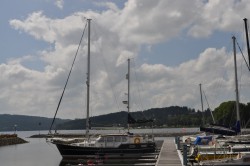 DSC_0245.JPG