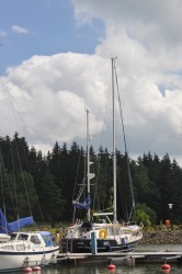 DSC_0242.JPG