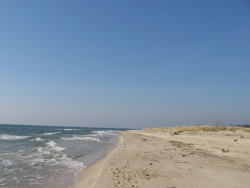 IMG_5691.jpg