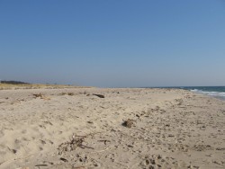 IMG_5693.jpg