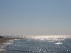 IMG_5711.jpg