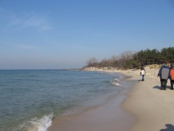 IMG_5695.jpg