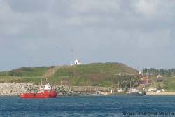 DSC02310.JPG