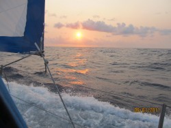 IMG_0338.jpg