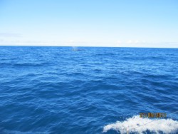 IMG_0549.jpg