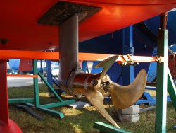 DSCF0672.JPG
