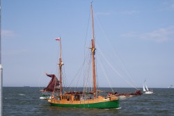 Bez tytułu.jpg
