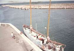 scan2.jpg