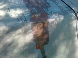 20120501669.jpg