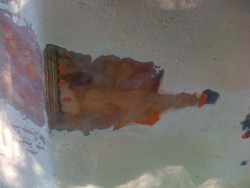 20120501671.jpg