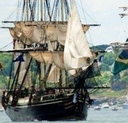 tallshiplineup2012.jpg