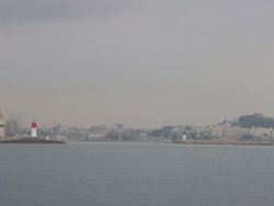 DSC40494.JPG