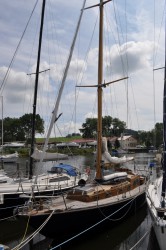 DSC_0551.JPG