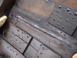 DSCF5361.jpg
