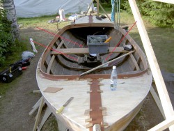 limma_mittfisk.jpg