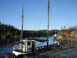 w Tvedalen m (4) 800x600.jpg