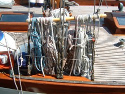 DSCF0004.jpg