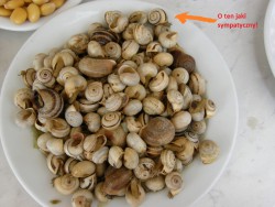 Caracoles.jpg