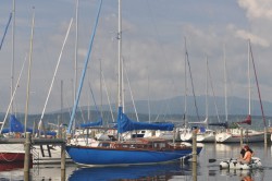 DSC_0534.JPG