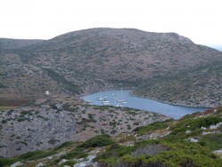 2010.jpg