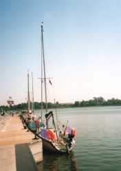 66.jpg