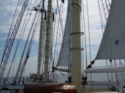 DSCN1116.jpg