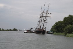 żaglowszczyk.jpg