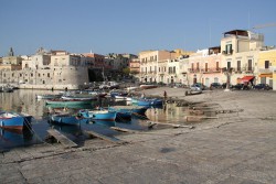IMG_0923.jpg