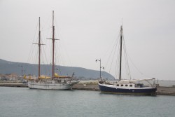 IMG_1045.jpg