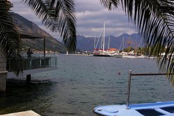 IMGP3818.JPG