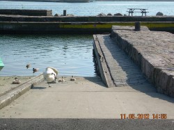 DSCN1148.jpg