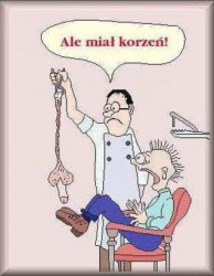 korzeń.JPG