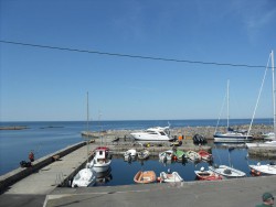 SDC16016.JPG