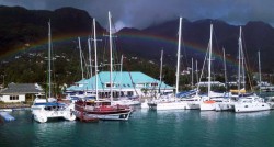 ange-fish-bayside-marina.jpg